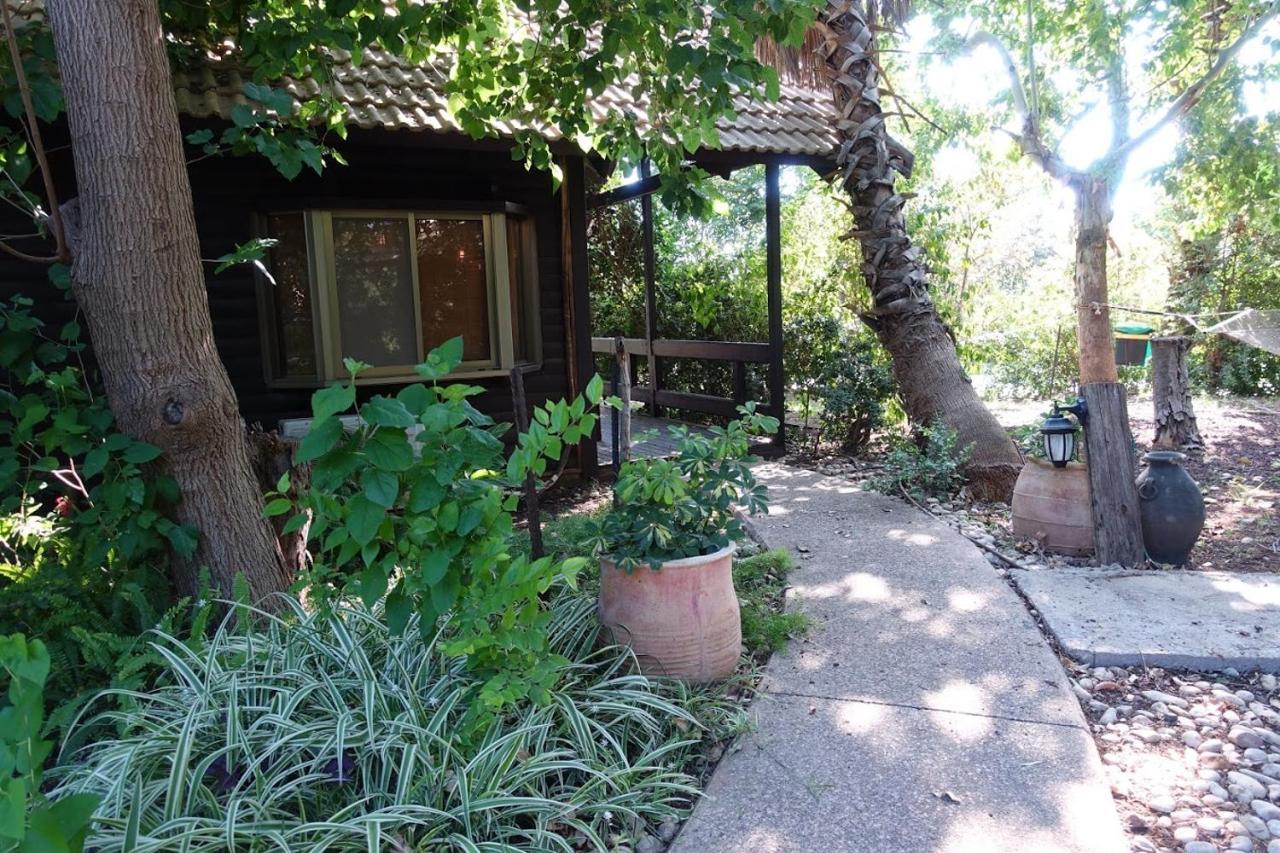 Cabin Resort Ramot Exterior photo